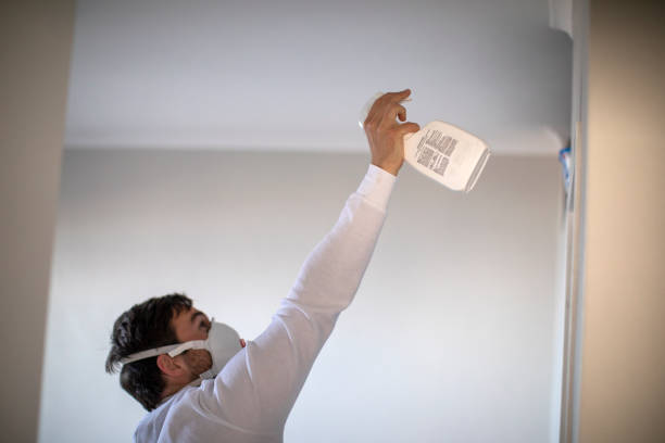 Mold Testing and Removal in New Hampton, IA