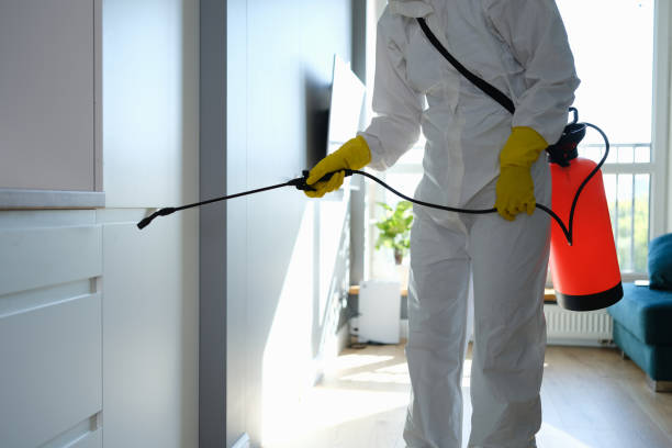 Best Crawl Space Mold Removal  in New Hampton, IA